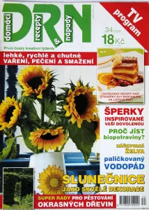 DRN - domácí recepty a nápady 34/2008 - první český kreativní týdeník