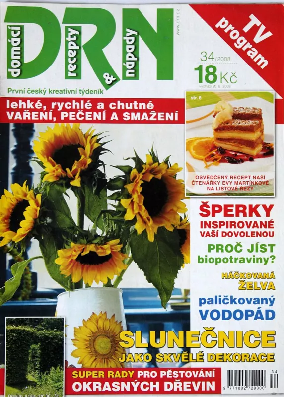 DRN - domácí recepty a nápady 34/2008 - první český kreativní týdeník
